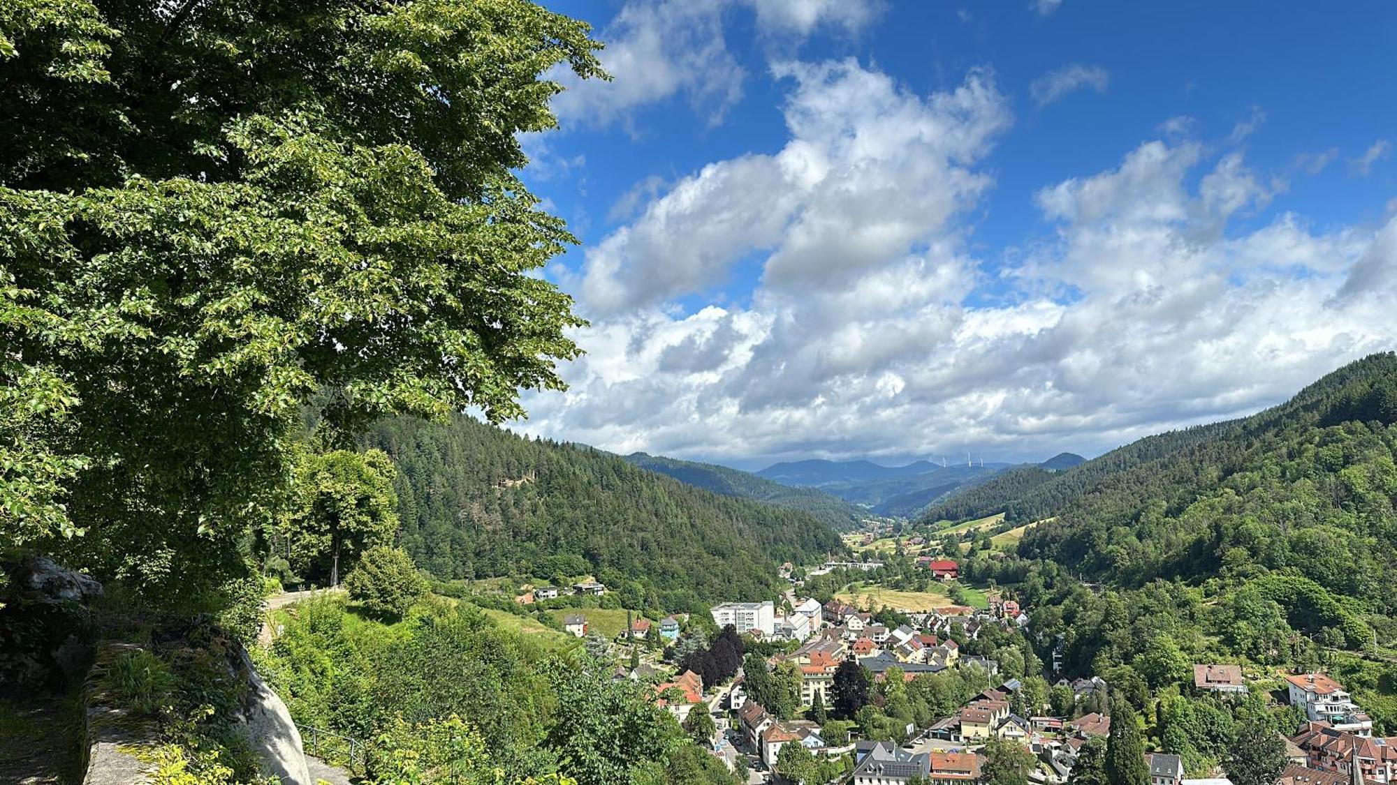 Lopezan Home And Living Hornberg Esterno foto